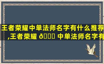王者荣耀中单法师名字有什么推荐,王者荣耀 🐝 中单法师名字有什么推荐的